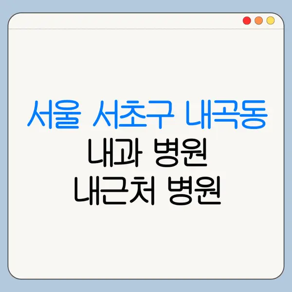 서울 서초구 내곡동 내과 병원 내근처 병원 리뷰 좋은 곳 | 가까운 곳