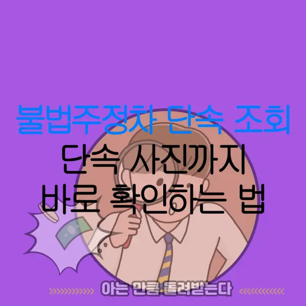 불법주정차 단속 조회단속 사진까지바로 확인하는 법