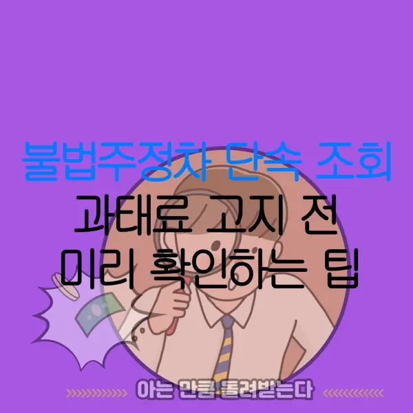 불법주정차 단속 조회과태료 고지 전미리 확인하는 팁
