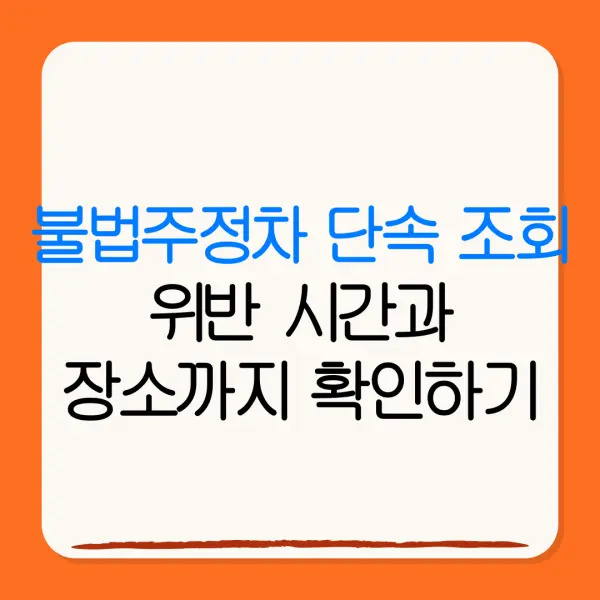 불법주정차 단속 조회위반 시간과장소까지 확인하기