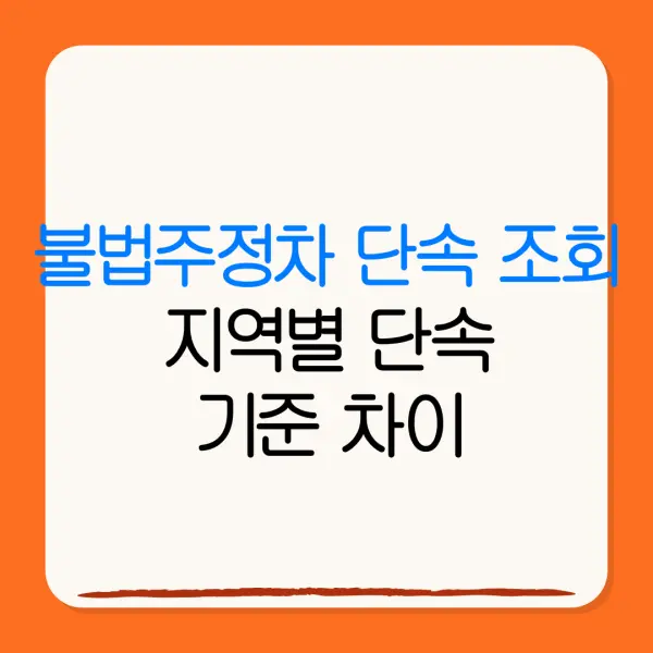 불법주정차 단속 조회지역별 단속기준 차이