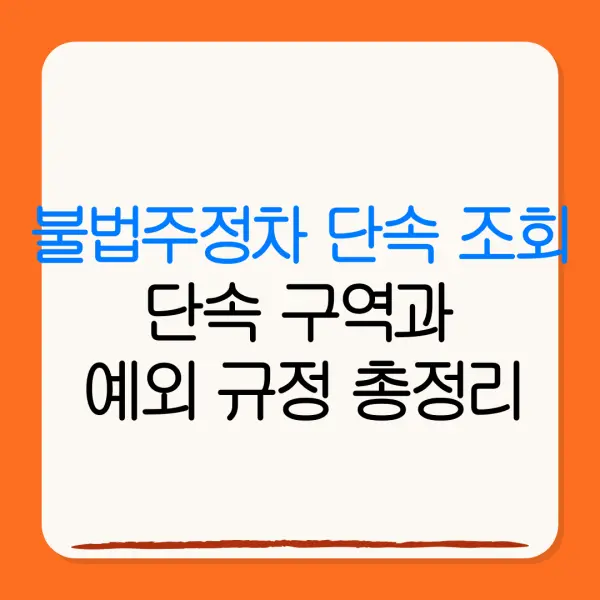 불법주정차 단속 조회단속 구역과예외 규정 총정리