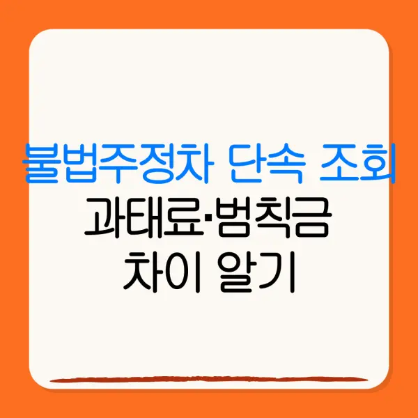 불법주정차 단속 조회과태료·범칙금차이 알기