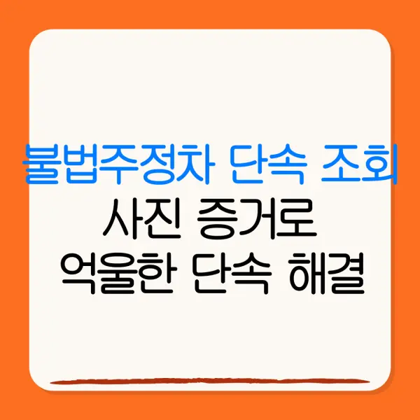 불법주정차 단속 조회사진 증거로억울한 단속 해결