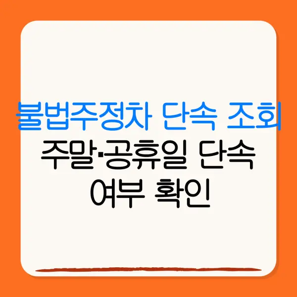 불법주정차 단속 조회주말·공휴일 단속여부 확인