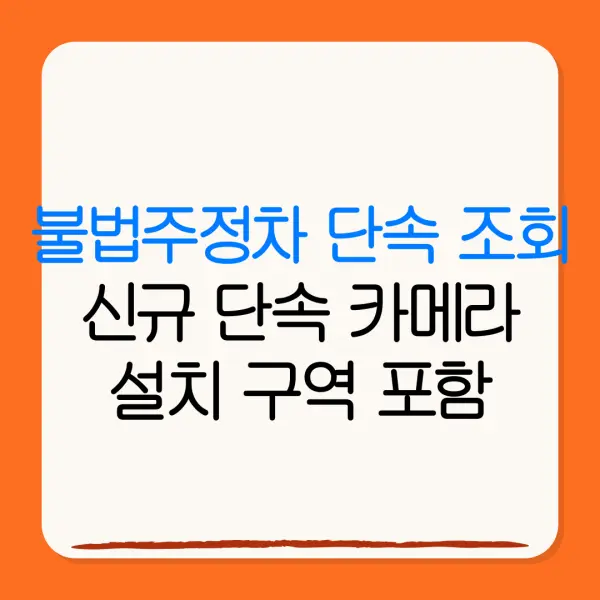 불법주정차 단속 조회신규 단속 카메라설치 구역 포함