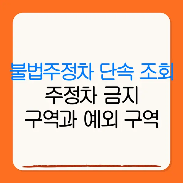 불법주정차 단속 조회주정차 금지구역과 예외 구역