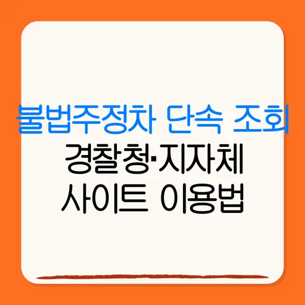 불법주정차 단속 조회경찰청·지자체사이트 이용법