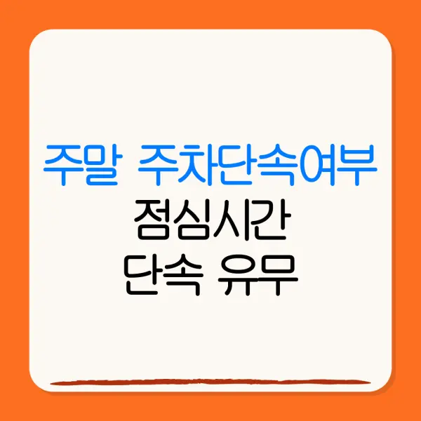 주말 주차단속여부점심시간단속 유무