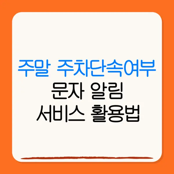 주말 주차단속여부문자 알림서비스 활용법
