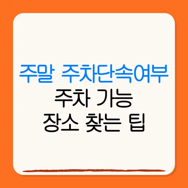 주말 주차단속여부주차 가능장소 찾는 팁