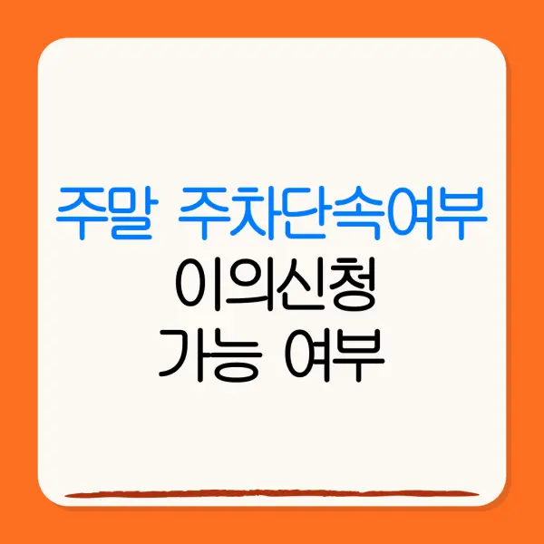 주말 주차단속여부이의신청가능 여부