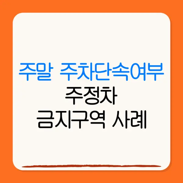주말 주차단속여부주정차금지구역 사례