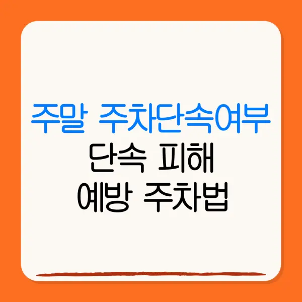주말 주차단속여부단속 피해예방 주차법