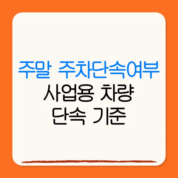 주말 주차단속여부사업용 차량단속 기준