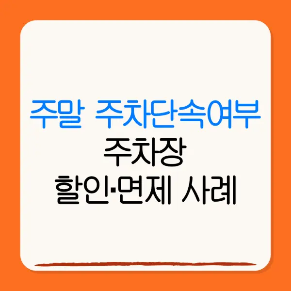 주말 주차단속여부주차장할인·면제 사례