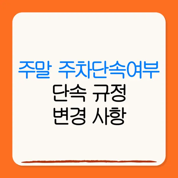 주말 주차단속여부단속 규정변경 사항