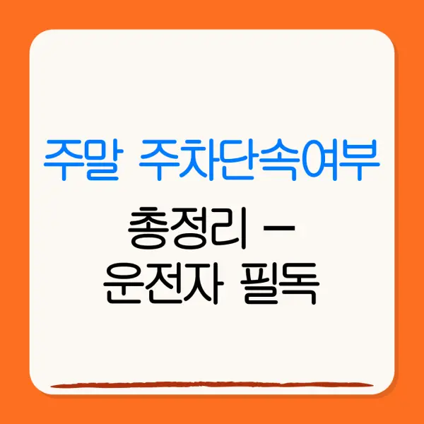 주말 주차단속여부총정리 –운전자 필독