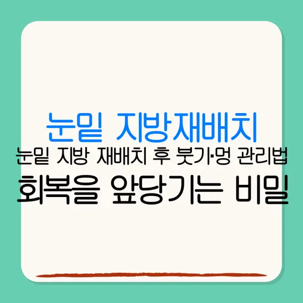 눈밑 지방재배치눈밑 지방 재배치 후 붓기·멍 관리법회복을 앞당기는 비밀