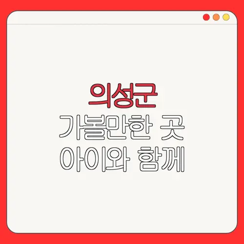 의성군 가볼만한 곳 아이와 함께 |펜션 | 숙박페스타 |숙박 할인